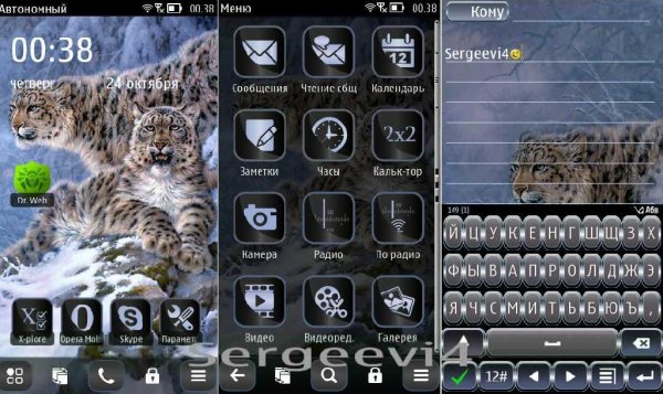 Tema 3 Leopard