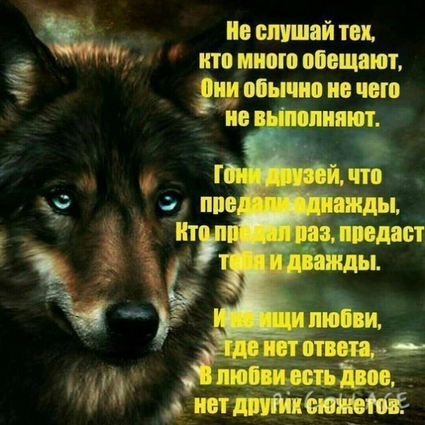 Не слушай
