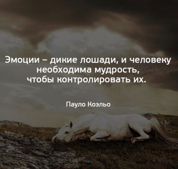 Эмоции