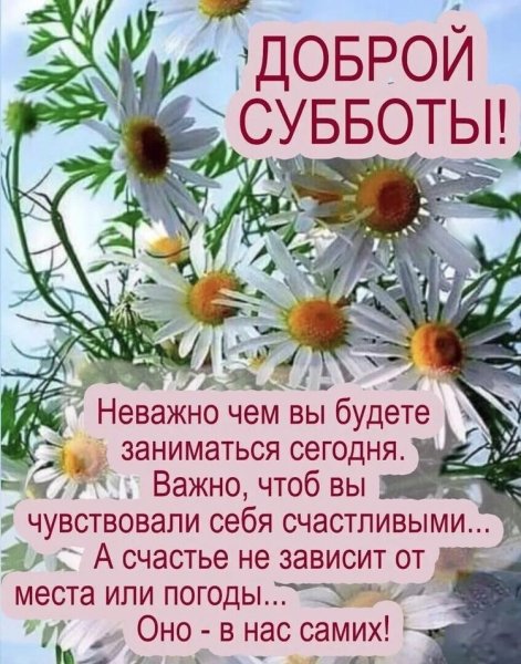 file_93942504