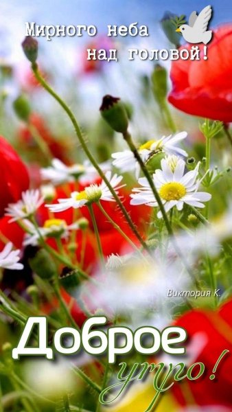 file_93796023