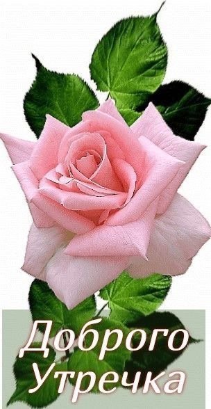 file_93780251