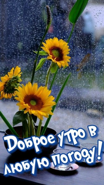 file_93923473
