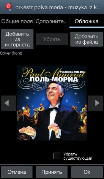 AudioTaggerPro
