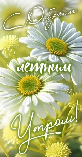 file_93744378