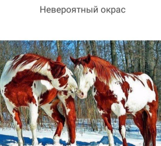 x500
