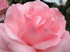 file_86355546