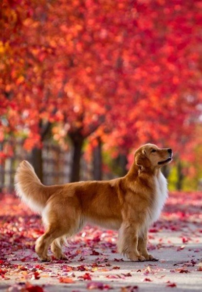 file_94764005