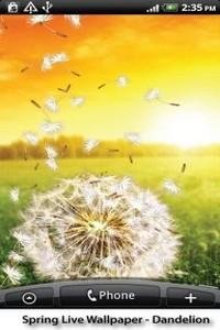 spring live wallpaper v.1.00