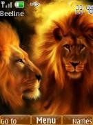 lions