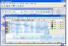 WIDI.Recognition.System.Pro 4.03