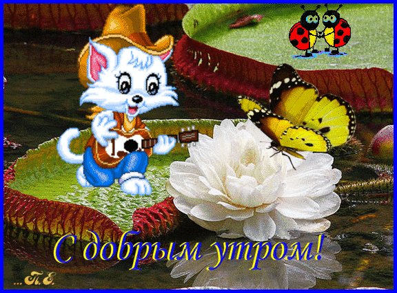 file_73363124