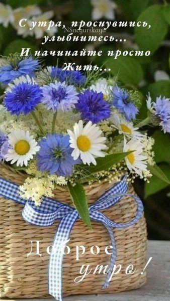 file_93884844