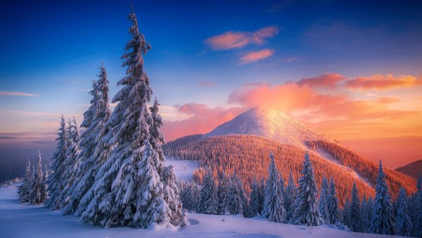 file_96497885