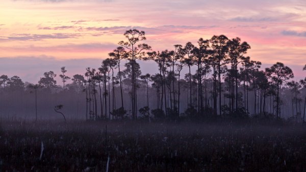 Everglades90th ROW7131495046 UHD