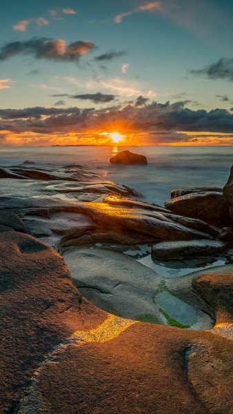 file_99368778