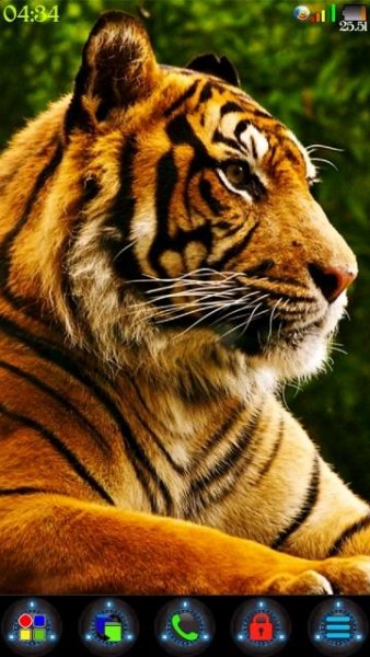 tiger hd v5 by art factory