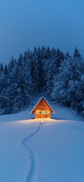 file_101673019