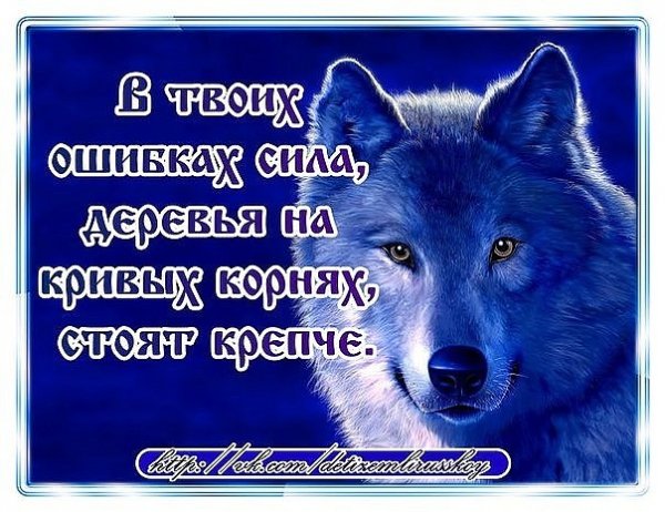 Сила