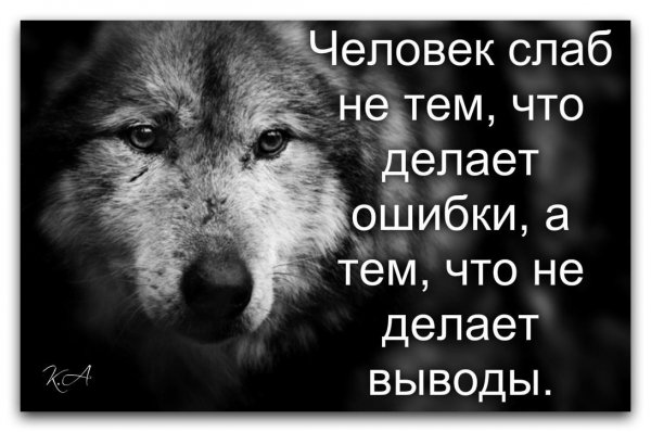 Волк