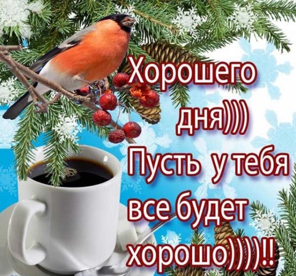 file_92531068