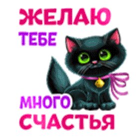 file_74985562