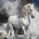 *