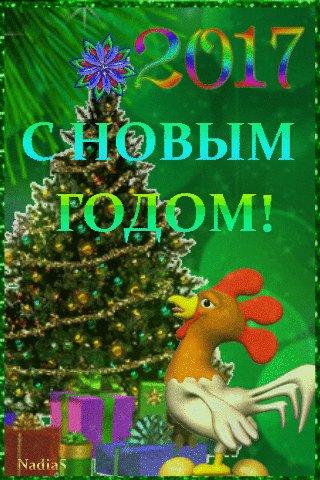 file_66016651