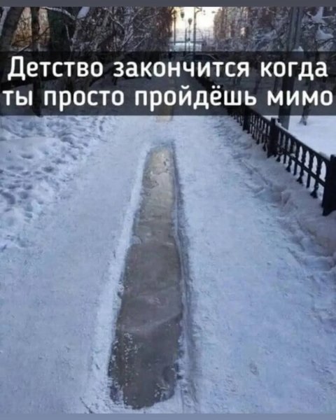 FB IMG 1769637169230