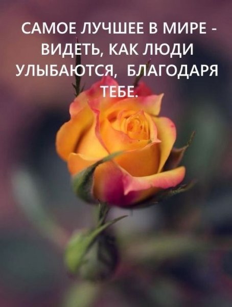 file_96751903