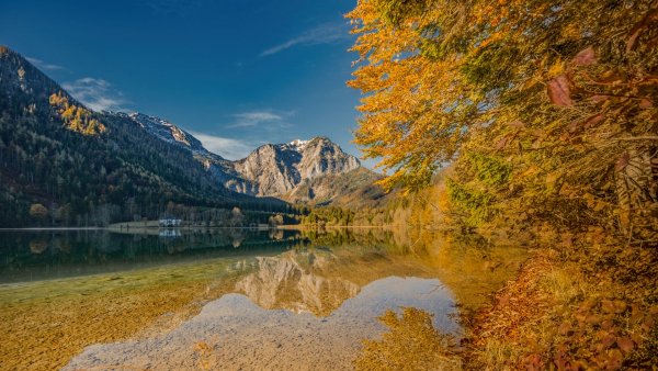 file_95095697