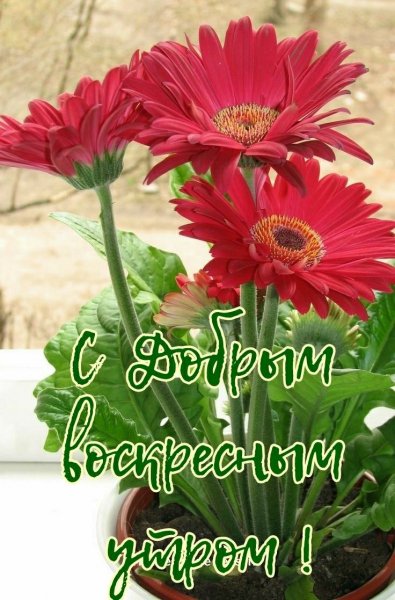 file_93787081