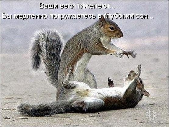 getImage3387