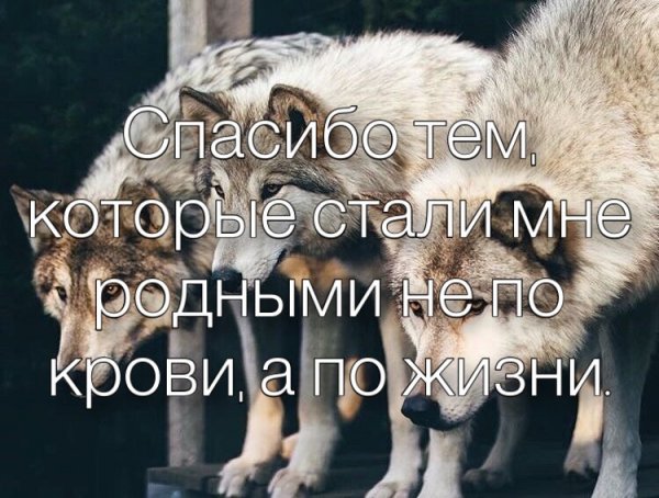 От души