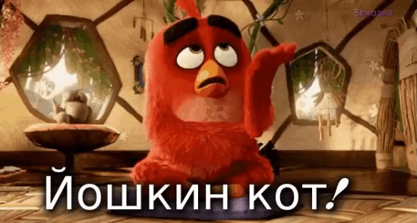 IMG 20171218 160501 31