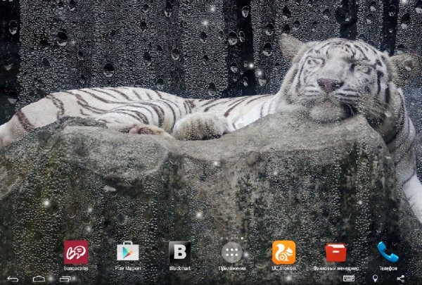 Bengal Tiger.ver.2.0.build.11