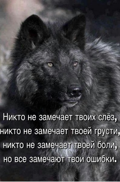 Ни кто