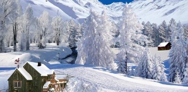 winter white live wallpaper