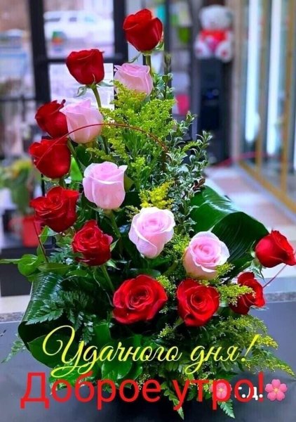 file_93942896