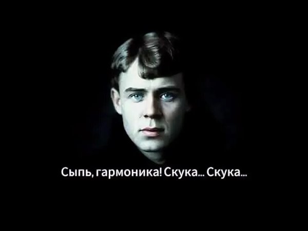 СПД - Сыпь, Гармоника