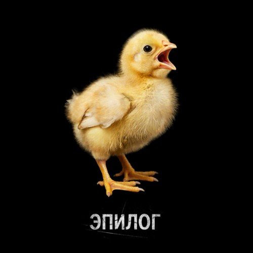 Роман Рябцев, Paul Baldhill - Стражи Галактики