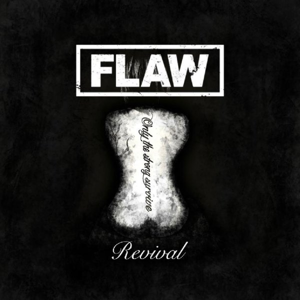 Flaw - Broken