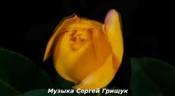Сергей Грищук - /ГДЕ- ТО ЛЕТОМ/