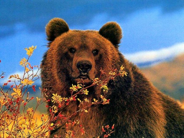 Рок-Синдром  Июль (_Времена года_ П.И.Чайковского - Рок-Синдром  Июль (_Времена года_ П.И.Чайковского)
