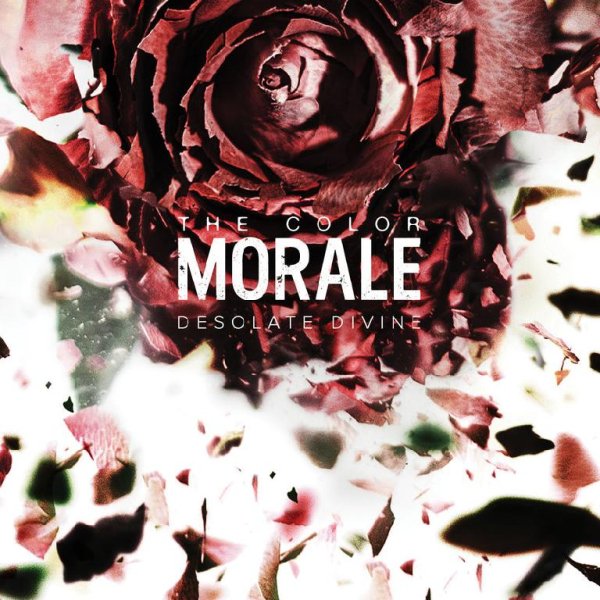 The Color Morale - Perfect Strangers