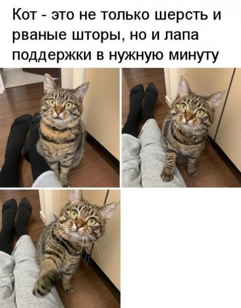 Так!
