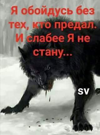 FB IMG 1550326713799