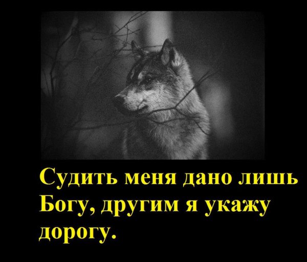 IMG 20170918 051359 1