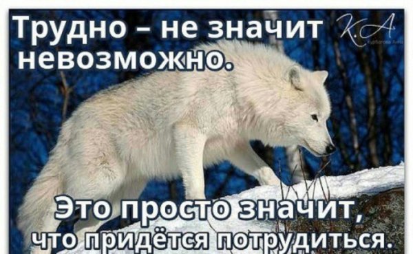 image (2)