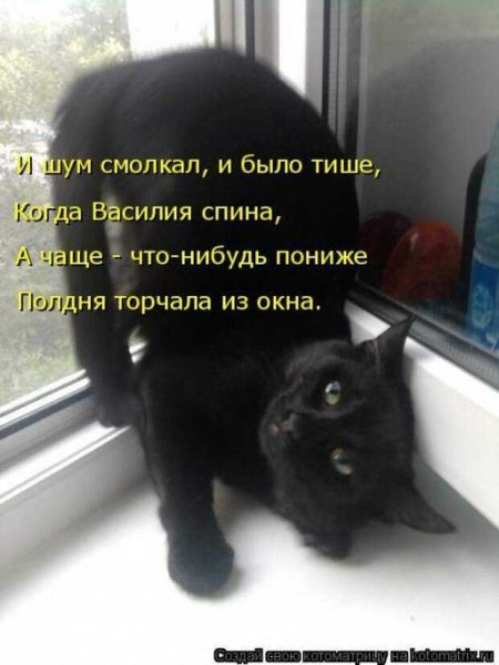 Торчала из окна